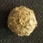 overstoneADA Historical Artifacts NFTs
